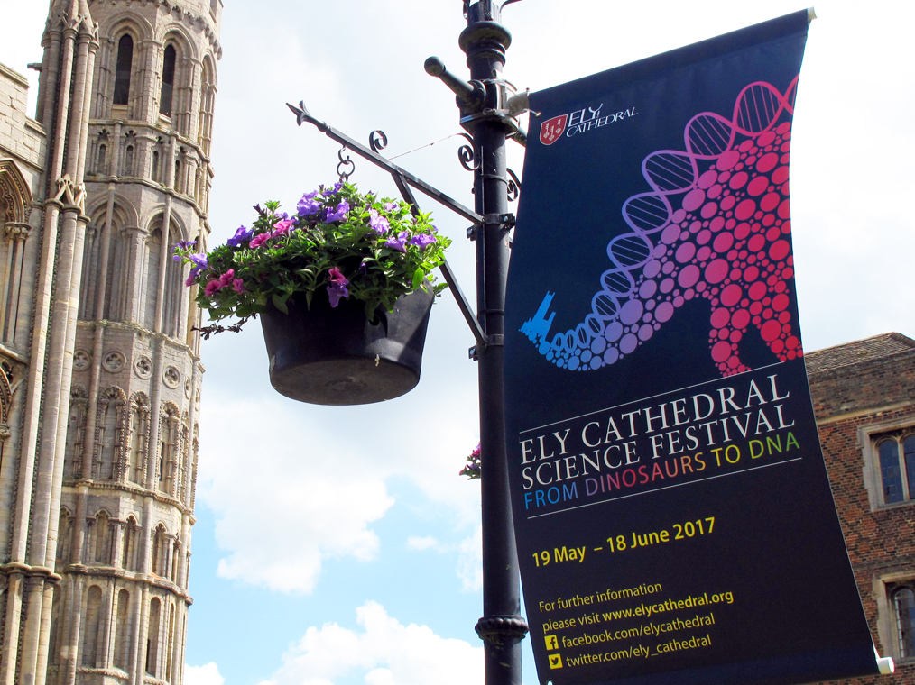 Ely Cathedral Dino to DNA flag